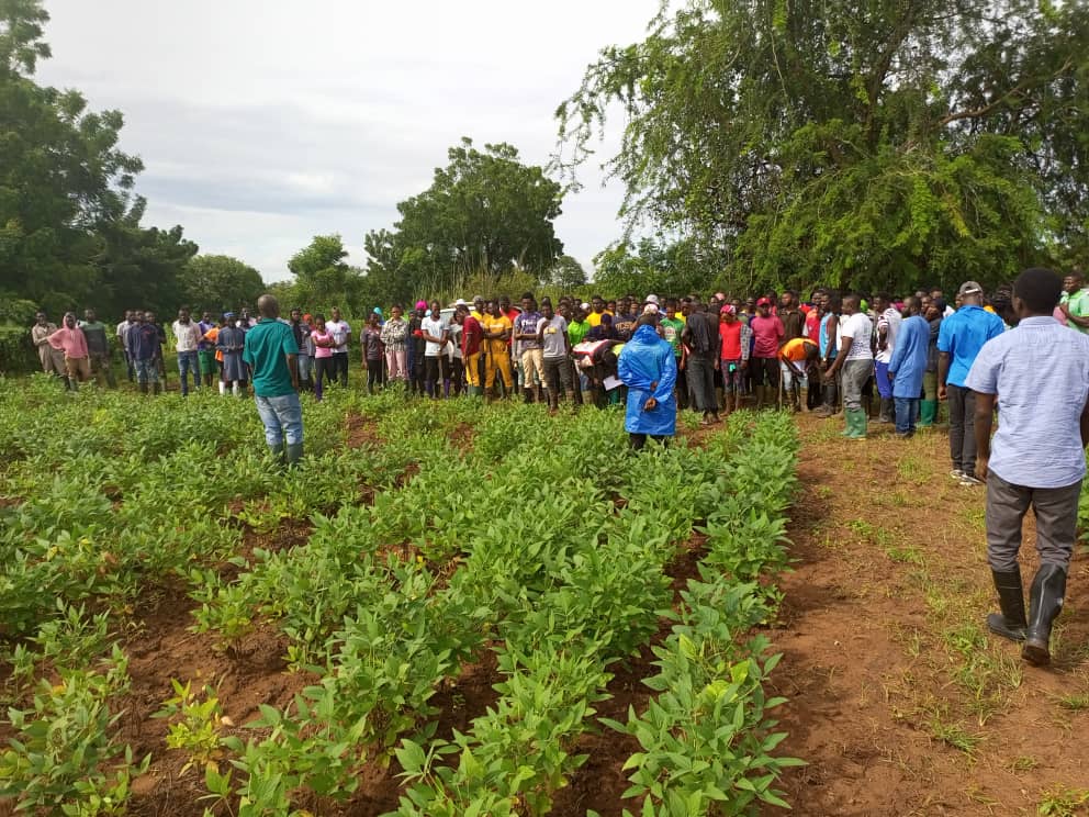 Sustainable Soyabean Production In Ghana Smallholder Farmers