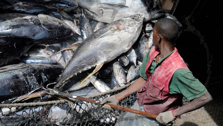 Ghana loses $23.7 million annually due to undervaluation in fishing