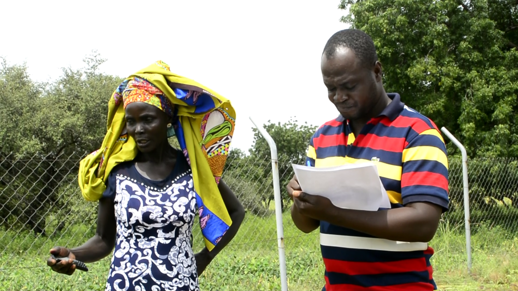 Cowpea demonstration