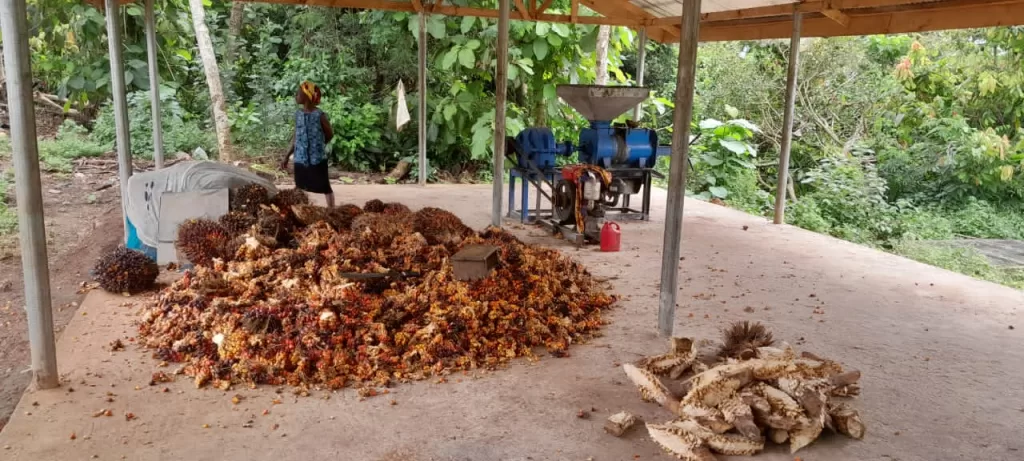 E/R: Botwekrom Community gets Palm Oil Processing Plant