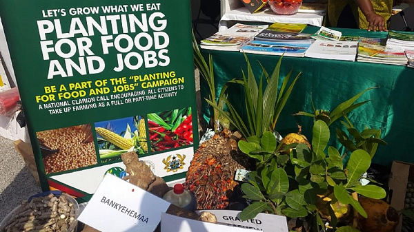 Planting for Food and Jobs