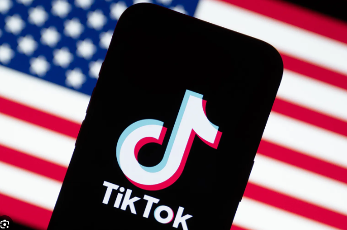 Tiktok vows to fight 'unconstitutional' US ban