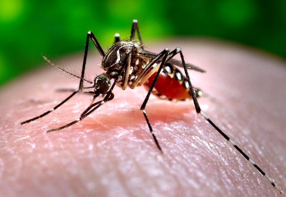 Dengue Fever Outbreak Expands to Central Ghana: Need for Enhanced Surveillance